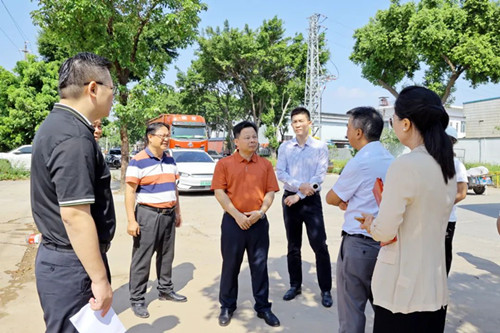 望牛墩鎮領導調研督導下漕城中村改造項目推進情況