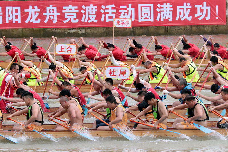 望牛墩龍舟趁景