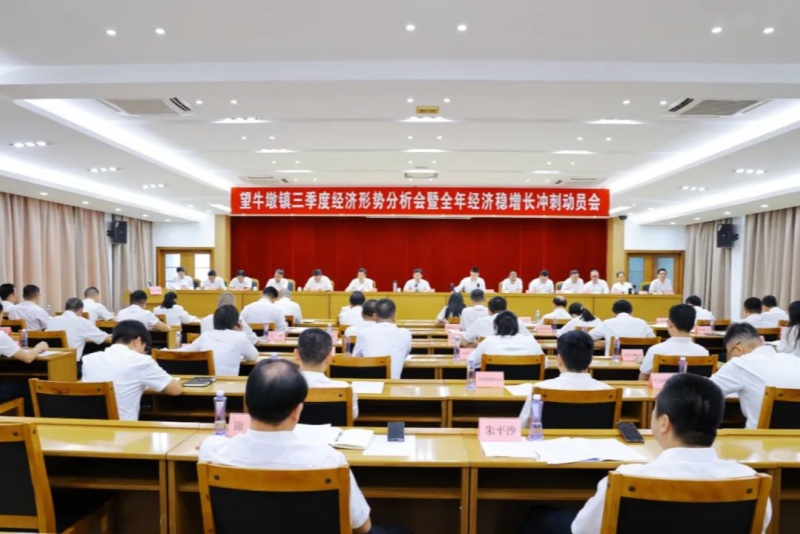 望牛墩鎮召開三季度經濟形勢分析會暨全年經濟穩增長沖刺動員會