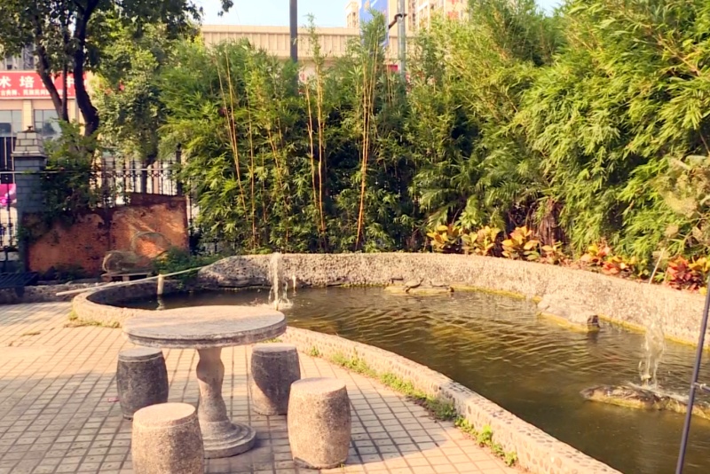 望牛墩鎮(zhèn)創(chuàng)新推進美麗廠院建設(shè)  綠美望牛墩畫卷再添&ldquo;經(jīng)&rdquo;彩