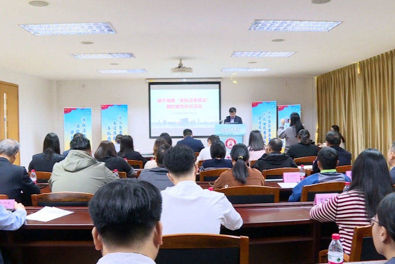 望牛墩鎮召開第三屆&ldquo;誰執法 誰普法&rdquo;履職報告評議會