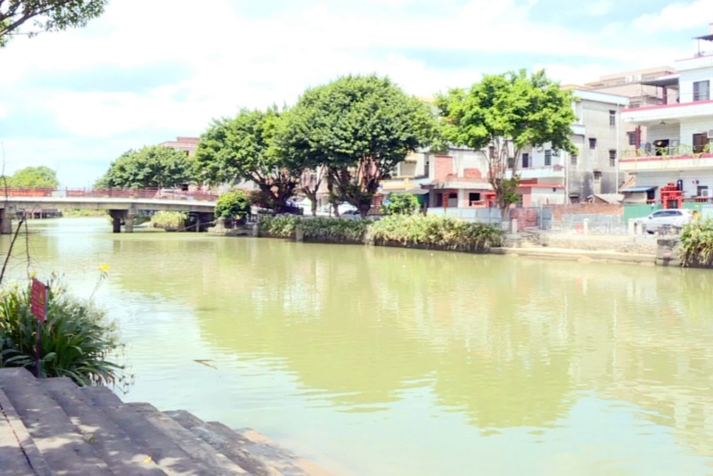 望牛墩：加強水環境綜合治理力度  改善水環境質量