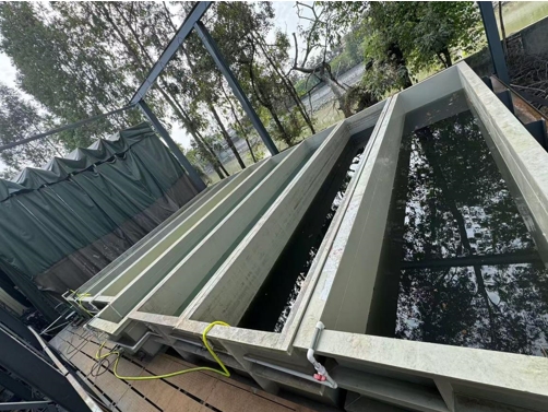 望牛墩：違法啟用已拆除的清洗工序？查處！