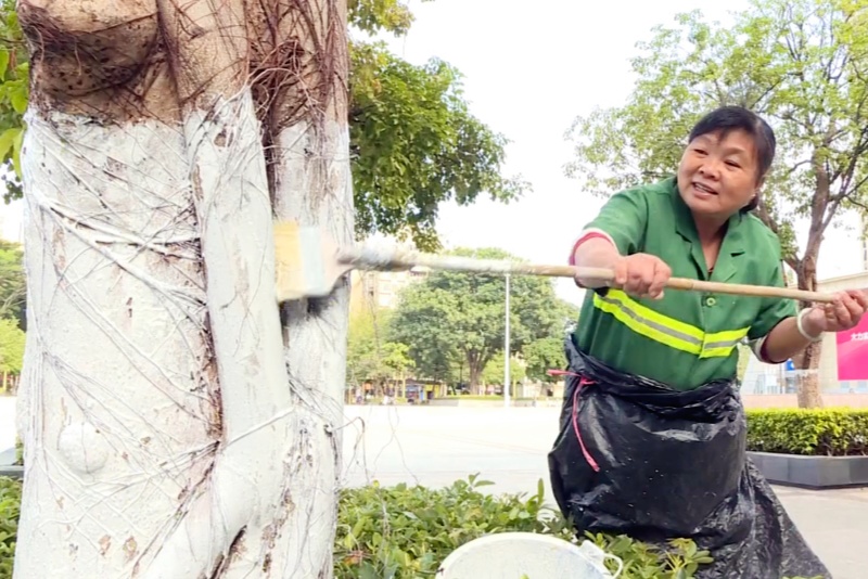 換新衣啦！望牛墩開展冬季樹木刷白工作