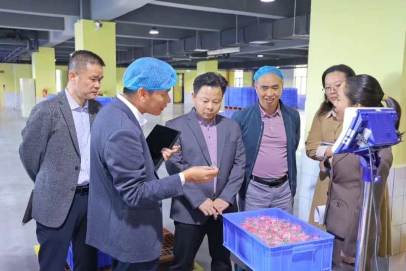 望牛墩鎮黨委書記鄭曉堅調研重點企業和重大產業項目