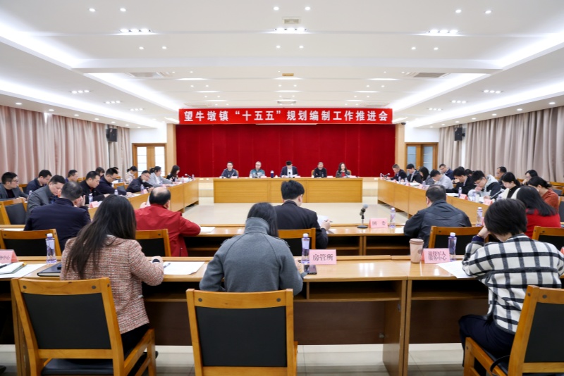 望牛墩鎮(zhèn)召開&ldquo;十五五&rdquo;規(guī)劃編制工作會議