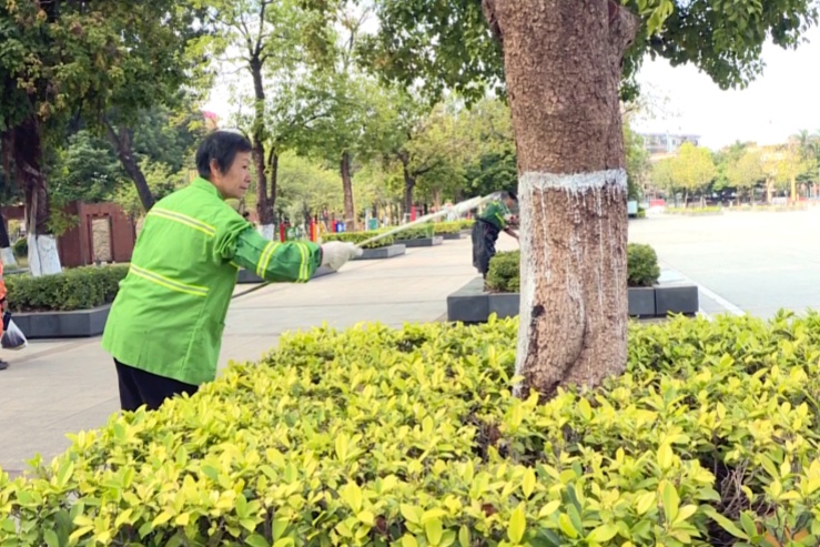 望牛墩：一萬(wàn)三千株樹(shù)木披上御寒&ldquo;冬衣&rdquo;  安全過(guò)冬有保障
