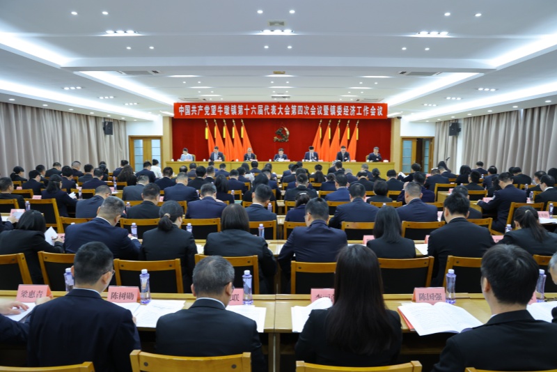 中國(guó)共產(chǎn)黨望牛墩鎮(zhèn)第十六屆代表大會(huì)第四次會(huì)議暨鎮(zhèn)委經(jīng)濟(jì)工作會(huì)議勝利召開！