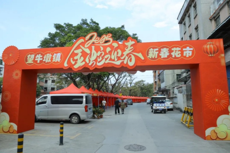 行花街啦！2025望牛墩鎮(zhèn)迎春花市今天開市