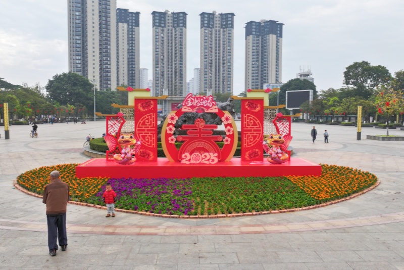 紅燈高掛花燈迎春 望牛墩街頭年味兒漸濃