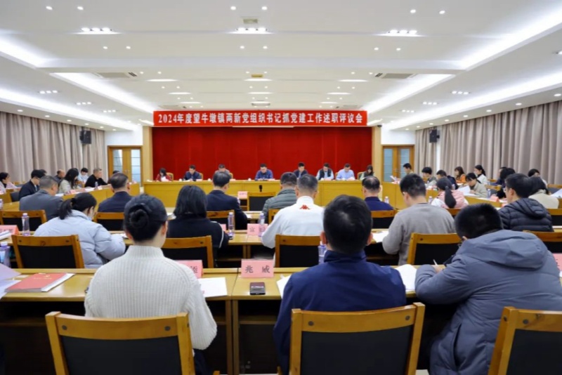 以&ldquo;述&rdquo;亮績(jī)，以&ldquo;評(píng)&rdquo;促干！望牛墩鎮(zhèn)召開2024年度基層黨組織書記抓黨建工作述職評(píng)議會(huì)