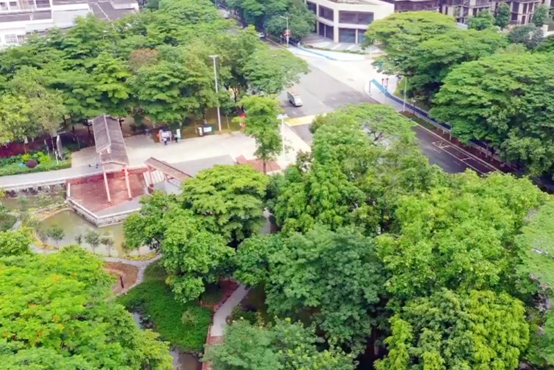 望牛墩村莊綠化行動  誠邀您共建綠美家園