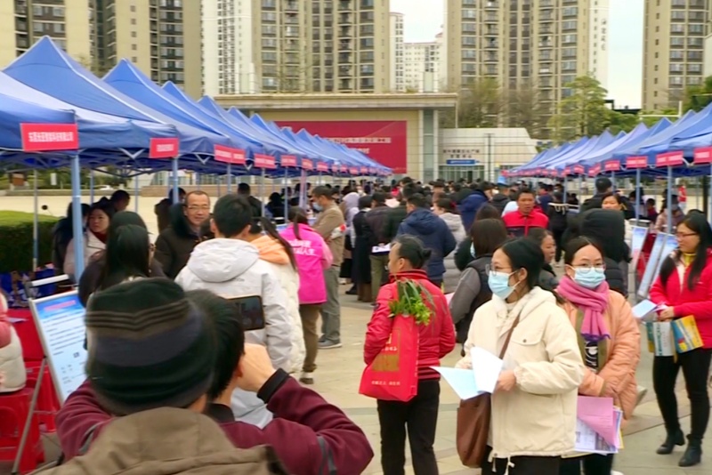 超5000個崗位！望牛墩鎮2025年首場線下招聘會本周五舉行