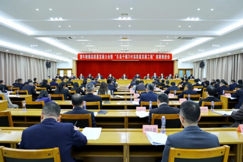 抓早趕前，奮起直追！望牛墩鎮(zhèn)召開高質(zhì)量發(fā)展大會(huì)暨&ldquo;百縣千鎮(zhèn)萬村高質(zhì)量發(fā)展工程&rdquo;部署推進(jìn)會(huì)