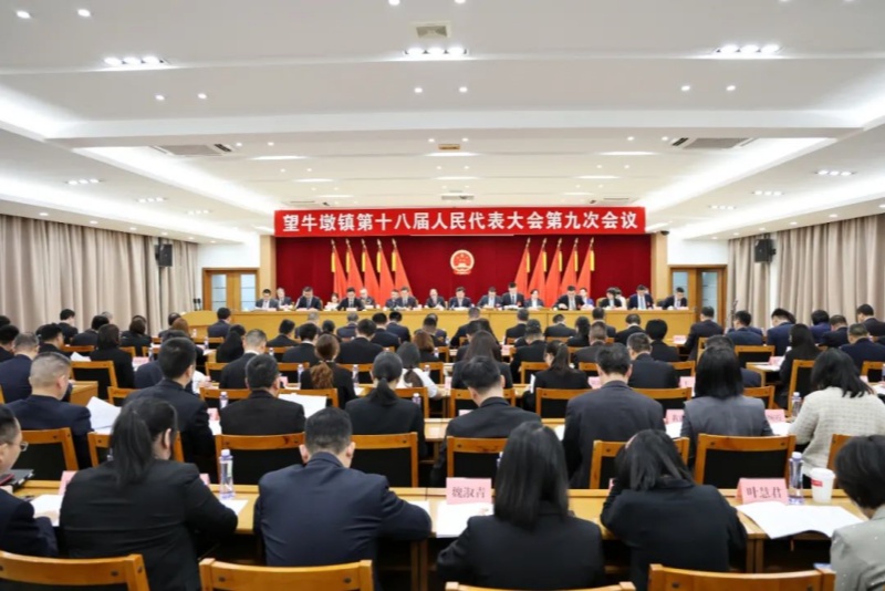望牛墩鎮第十八屆人民代表大會第九次會議召開