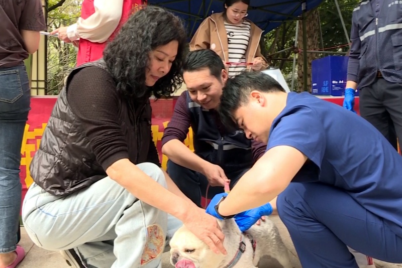 黨建引領筑防線  春季防疫保安全&mdash;&mdash;望牛墩鎮2025年春季動物狂犬病、禽流感集中免疫拉開序幕