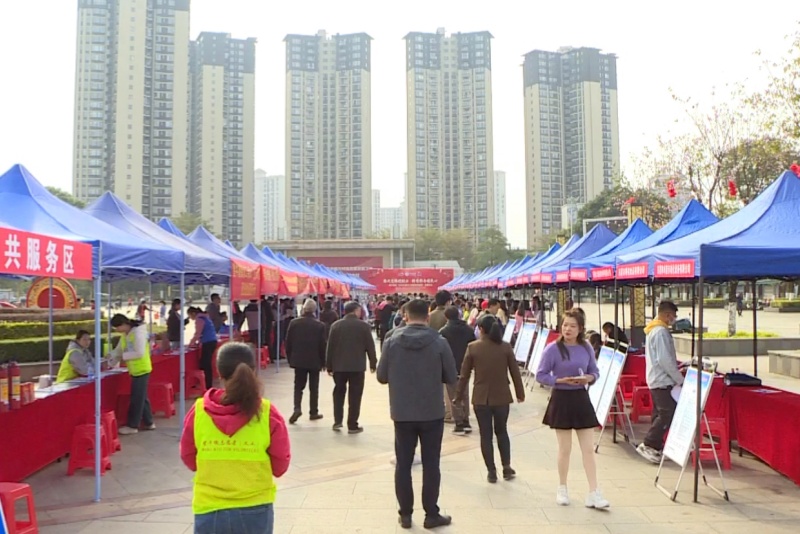 望牛墩鎮多措并舉促就業 線上線下聯動穩民生