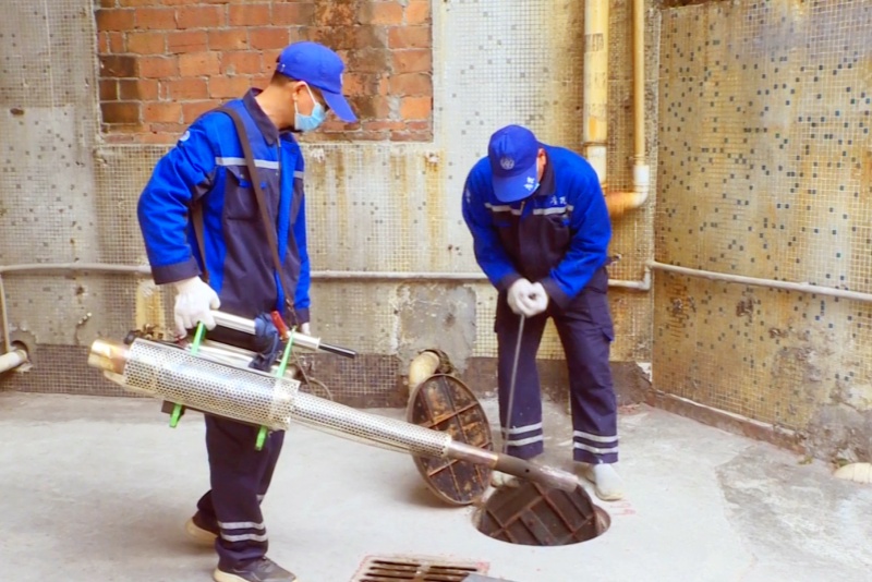 望牛墩：開展春季除四害消殺行動，營造衛生健康人居環境