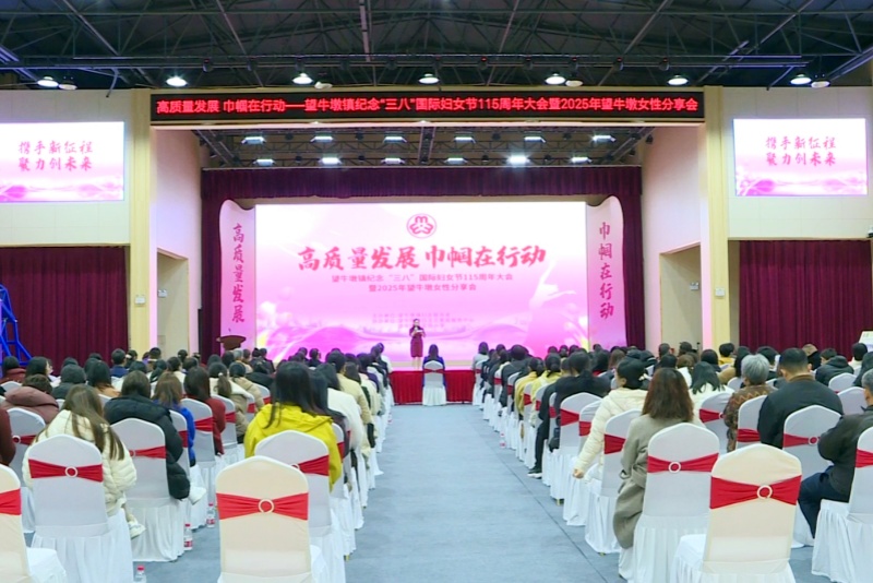 望牛墩鎮&ldquo;三八&rdquo;國際婦女節115周年紀念大會暨2025年望牛墩女性分享會舉行