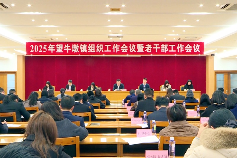 望牛墩鎮(zhèn)召開組織工作會議暨老干部工作會議