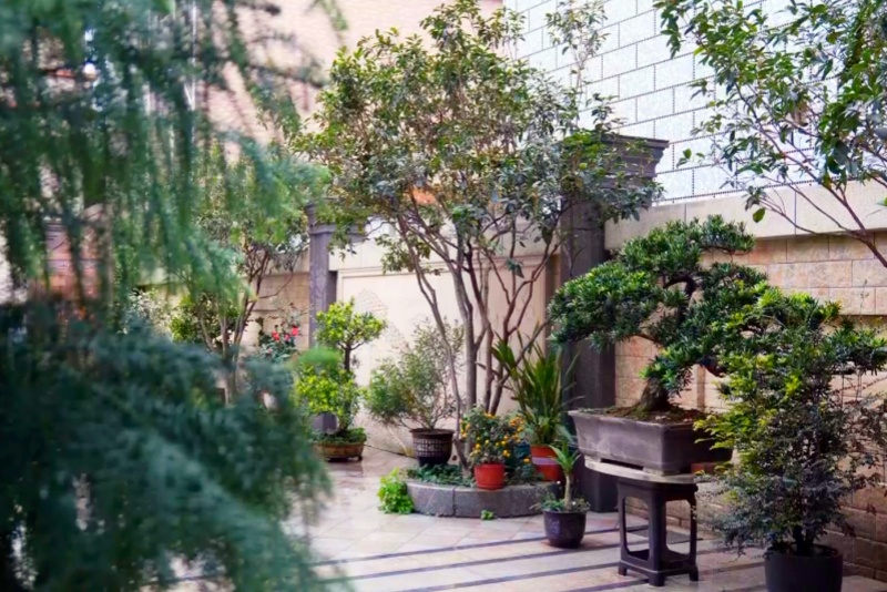 望牛墩鎮(zhèn)&ldquo;美麗庭院&rdquo;創(chuàng)新綠化模式 描繪鄉(xiāng)村振興靚麗風(fēng)景線