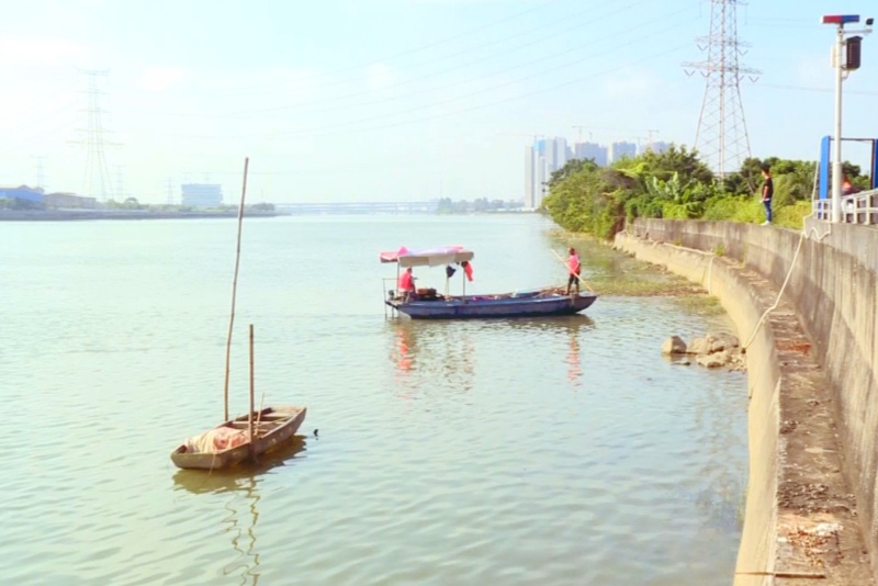 望牛墩鎮河湖保潔組合拳 書寫人水和諧新畫卷