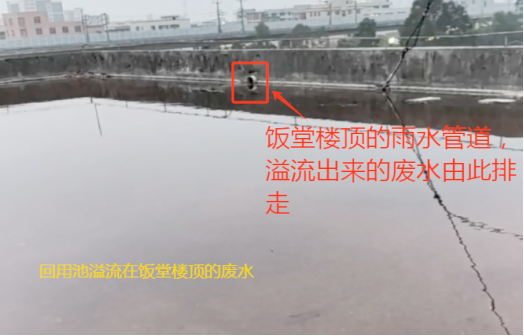 望牛墩鎮查處一家廢水逃避監管企業