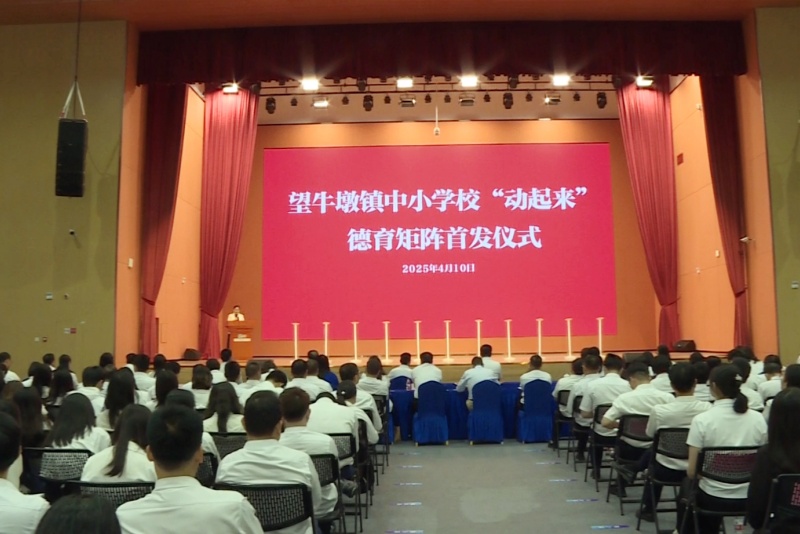 首發！望牛墩鎮中小學校&ldquo;動起來&rdquo;德育矩陣發布