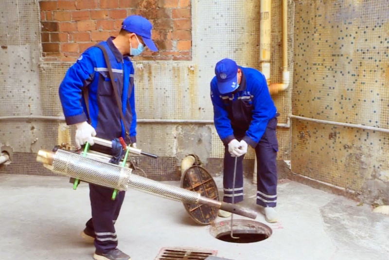 筑牢群眾健康防線！望牛墩鎮積極開展防蚊滅蚊行動