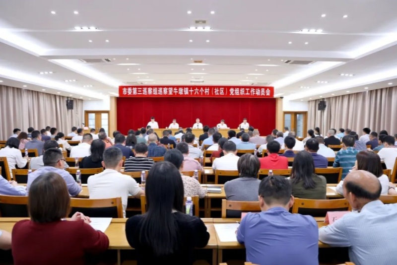 市委第三巡察組巡察望牛墩鎮十六個村（社區）黨組織工作動員會召開