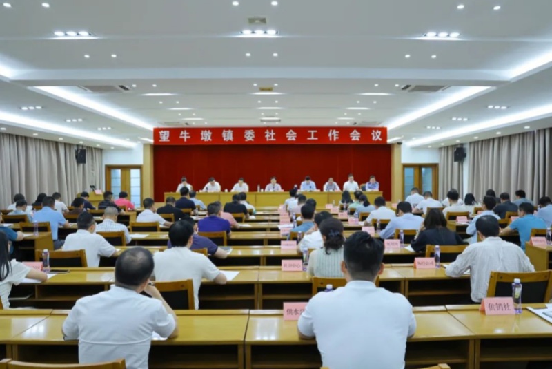 望牛墩鎮委社會工作會議召開