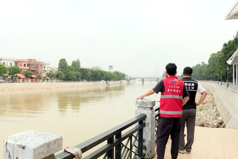 &ldquo;龍舟水&rdquo;防御進行時！望牛墩鎮&ldquo;查、儲、練&rdquo;全鏈條發力