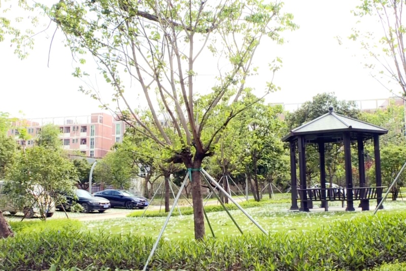 邊角煥新顏！望牛墩扶涌村：閑置地變身&ldquo;口袋公園&rdquo;