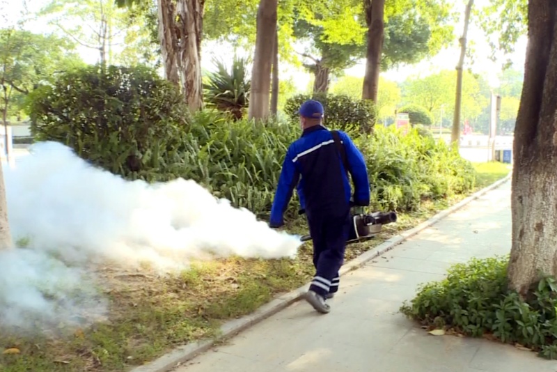 雨后蚊蟲滋生 望牛墩鎮(zhèn)持續(xù)開展消殺行動