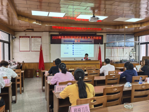 望牛墩：開展環保設施安全普法宣傳，筑牢企業生產&ldquo;綠色防線&rdquo;