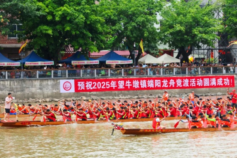 寮廈河畔鼓聲起，望牛墩鎮17 條&ldquo;猛龍&rdquo;燃爆了