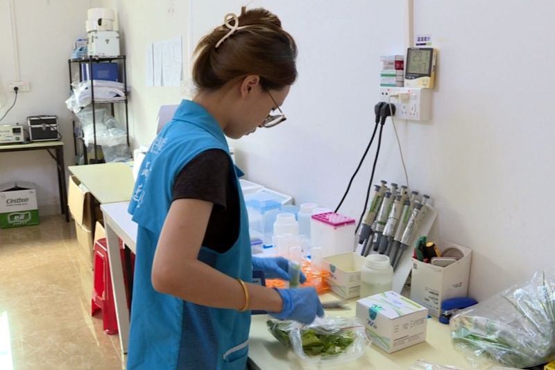 守護&ldquo;菜籃子&rdquo;安全！望牛墩鎮一快檢室常態化開展&ldquo;你送我檢 免費惠民&rdquo;活動