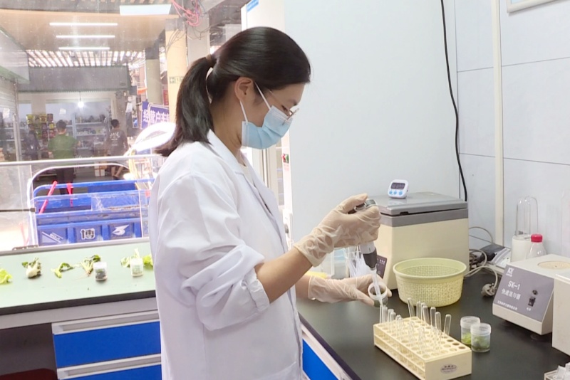 望牛墩：常態化推進蔬菜檢測  嚴把農產品質量關