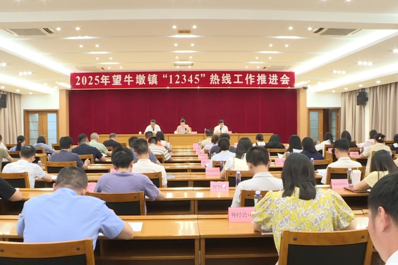 望牛墩鎮召開2025年&ldquo;12345&rdquo;熱線工作推進會
