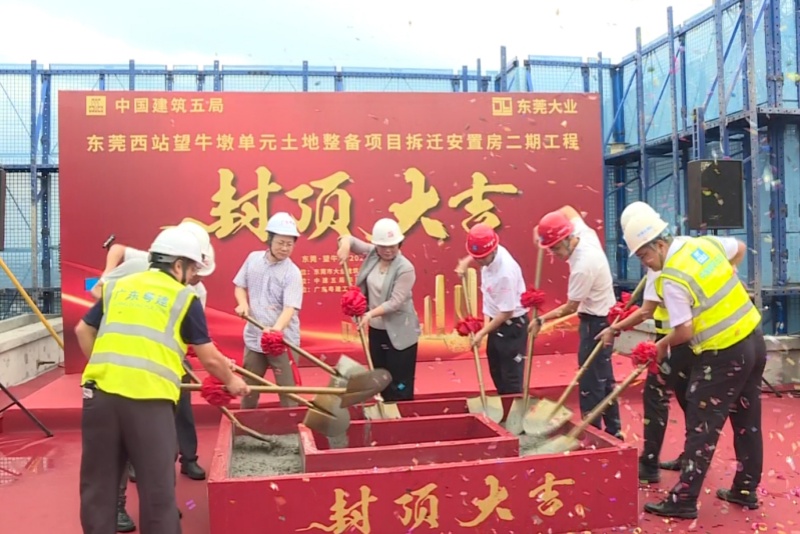 托舉村民&ldquo;安居夢&rdquo;！望牛墩鎮下漕城中村改造項目安置房二期全面封頂 