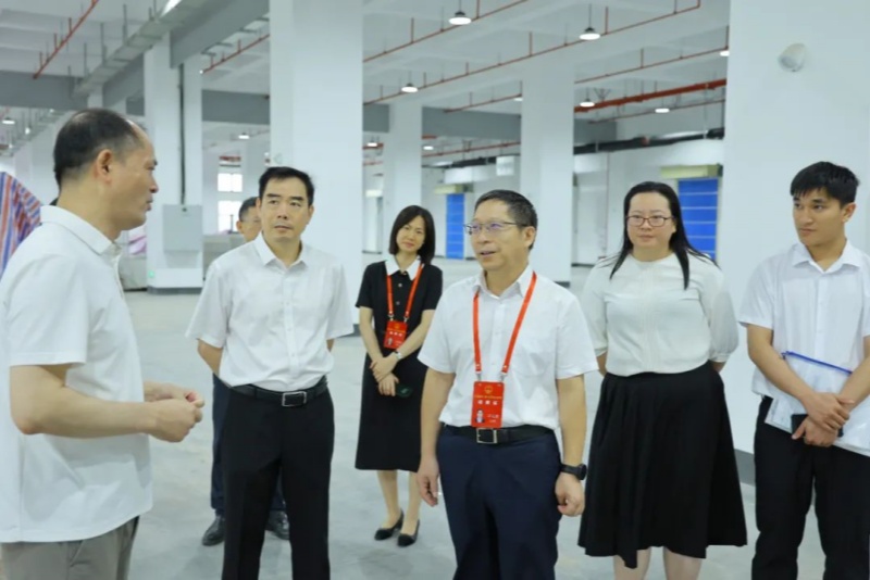 市人大常委會到望牛墩鎮視察重大項目建設推進情況