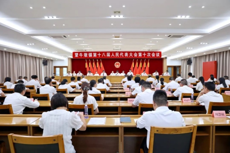 望牛墩鎮(zhèn)第十八屆人民代表大會(huì)第十次會(huì)議召開，何榮堅(jiān)、王平、高二勇當(dāng)選為副鎮(zhèn)長