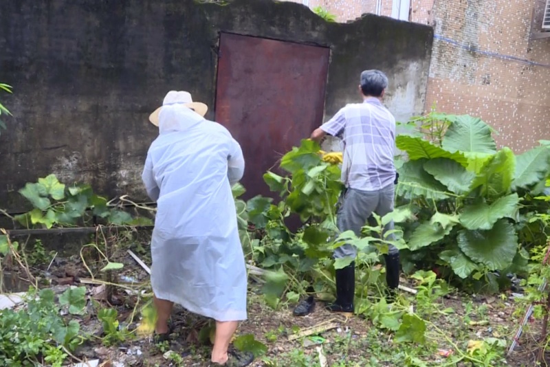 望聯村雨后&ldquo;搶時&rdquo;消殺 巧斷蟲媒孳生源頭