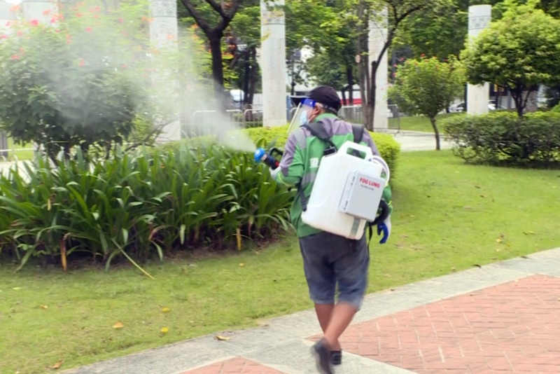 望牛墩鎮七夕活動籌備期間全力開展蟲媒消殺 多舉措保障市民健康