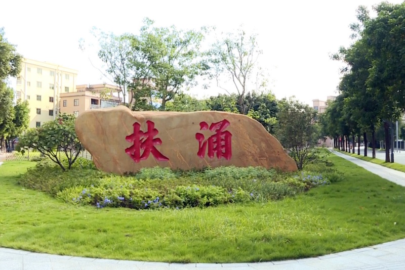 創建助力&ldquo;百千萬&rdquo;｜望牛墩鎮扶涌村：生態蝶變繪新景，人居煥新展新顏