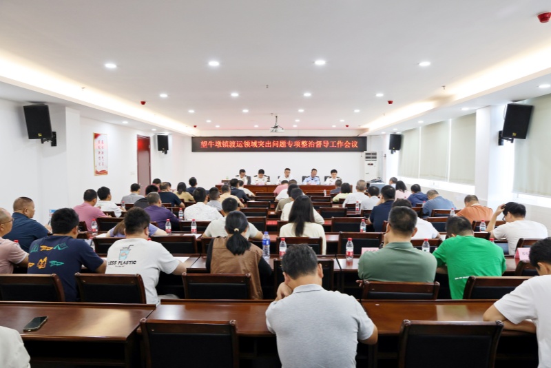 望牛墩鎮(zhèn)召開(kāi)渡運(yùn)領(lǐng)域突出問(wèn)題專項(xiàng)整治督導(dǎo)工作會(huì)議
