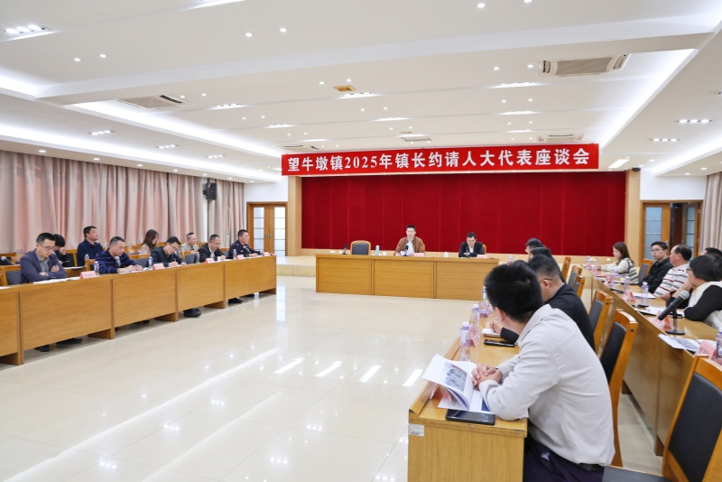 納良策、促發展！望牛墩鎮召開鎮長約請人大代表座談會