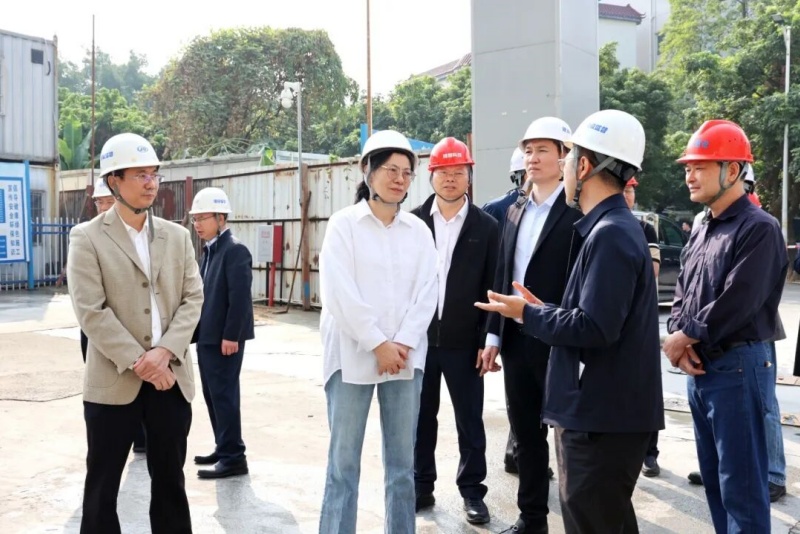 市督導組到望牛墩鎮督導&ldquo;百千萬工程&rdquo;和&ldquo;隱患排查治理年&rdquo;工作