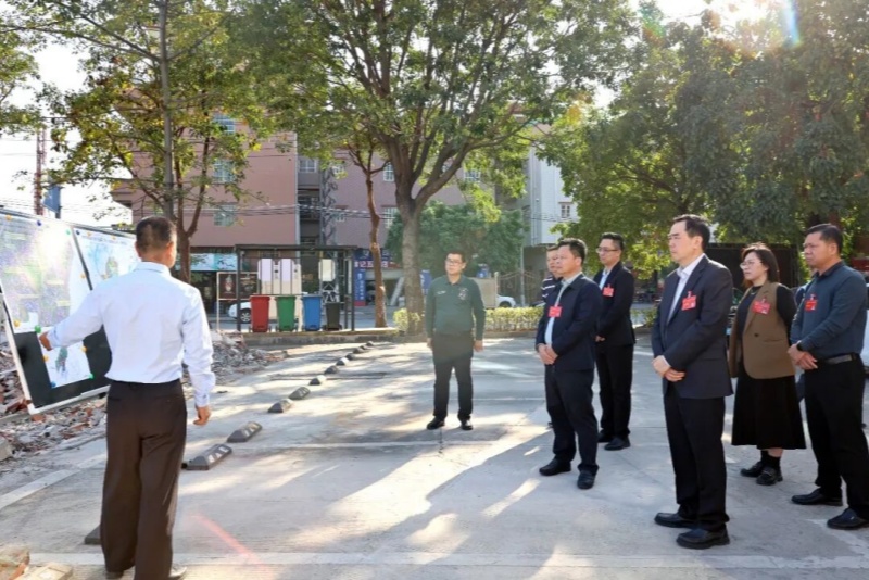 助推項目建設(shè)提質(zhì)增效！望牛墩鎮(zhèn)組織市、鎮(zhèn)人大代表開展集中視察活動