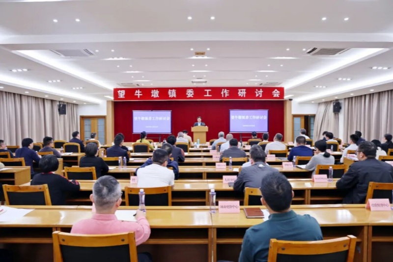 望牛墩鎮委工作研討會召開，謀定&ldquo;十五五&rdquo;時期發展藍圖